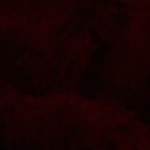 Meet your Posher, Desiree